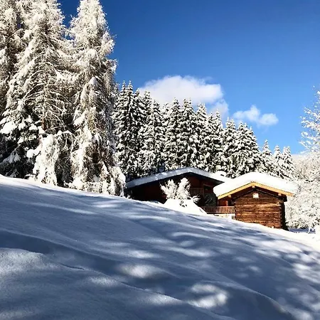 Mountain Vibes *