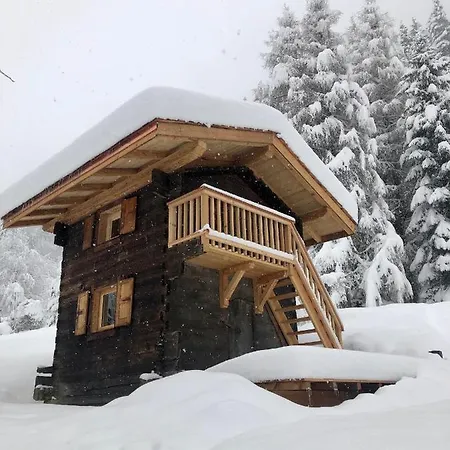 Mountain Vibes