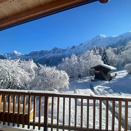 Mountain Vibes Apartment Les Houches